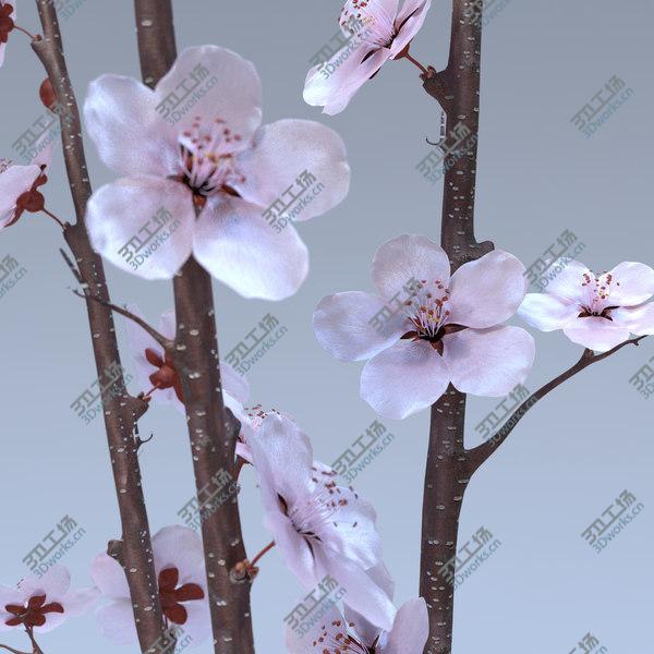images/goods_img/20210312/Cherry Blossom/1.jpg